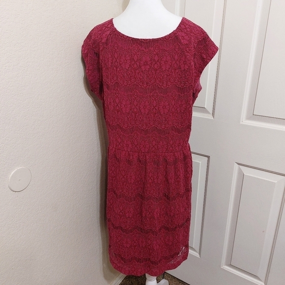 Garnet Hill pink cap sleeve lace dress lined synched waist wedding guest 18 - Picture 7 of 13